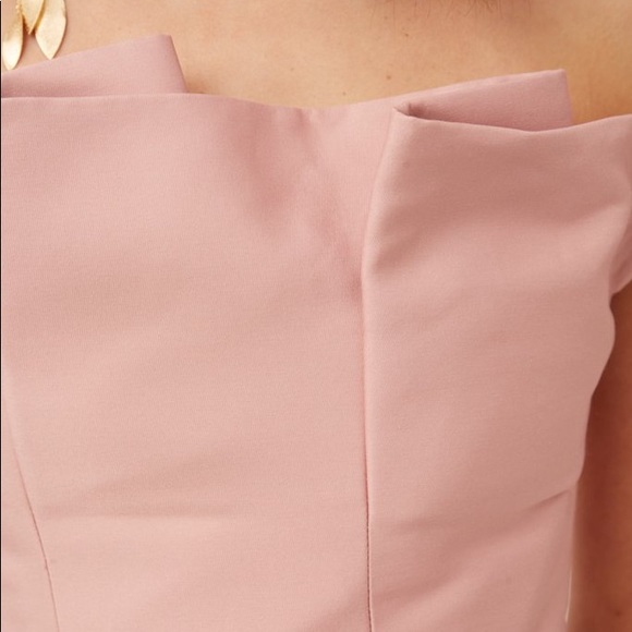 NWT KEEPSAKE The Label Pink Rose Strapless Pleated Tea Length Dress with Bodice - Picture 14 of 14